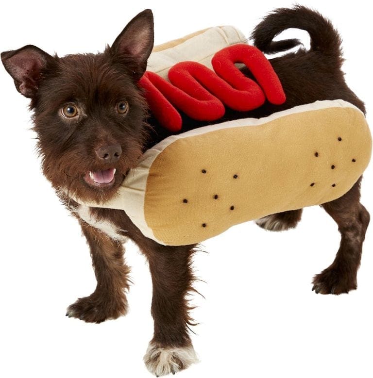 Hundekostüm als Hot Dog verkleidet