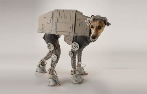 Hund als AT aus Star Wars verkleidet