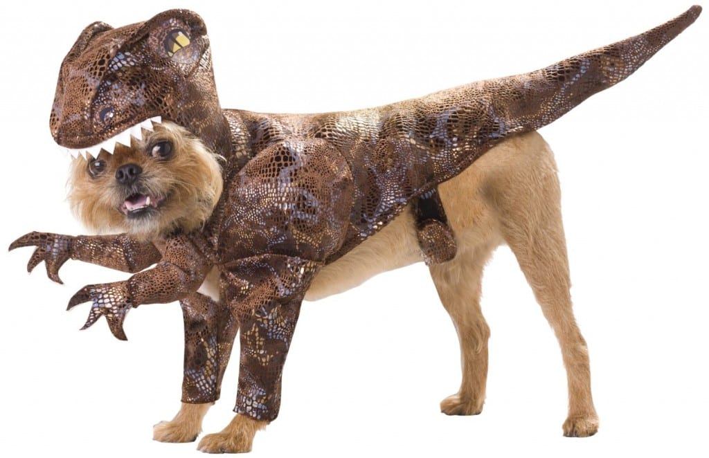Hund als T-Rex verkleidet