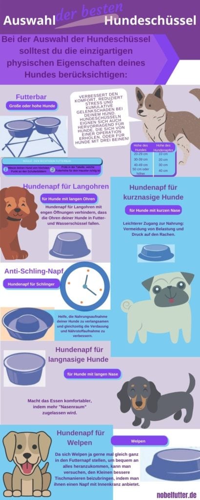 Hunde Infografiken Auswahl der besten Hundeschüssel