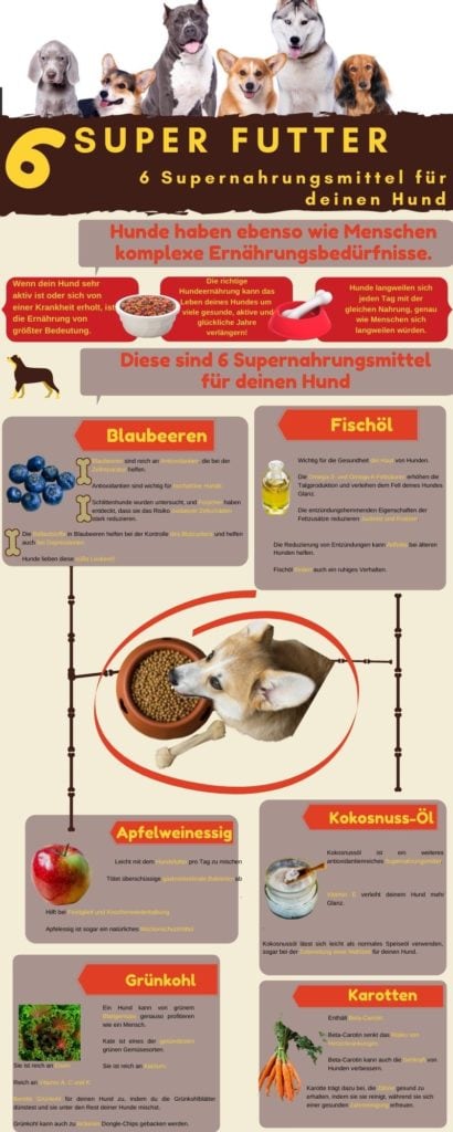 Hunde Infografiken Super Futter