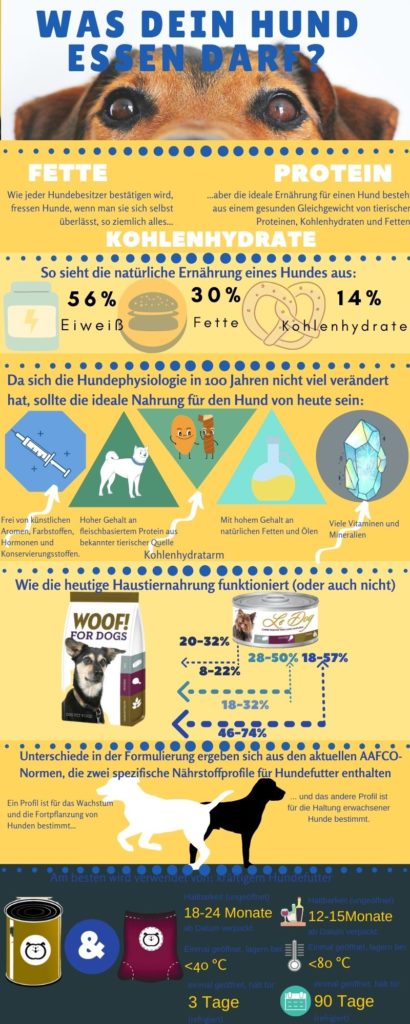 Hunde Infografiken Was dein Hund essen darf