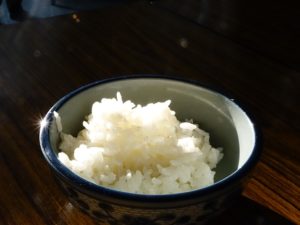 gekochter Reis für Hundefutter in Schale