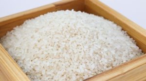 Reis für Hundefutter vor dem Kochen