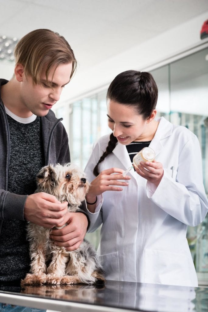 Tierärztin untersucht Hund und verrdnet Aufbaufutter